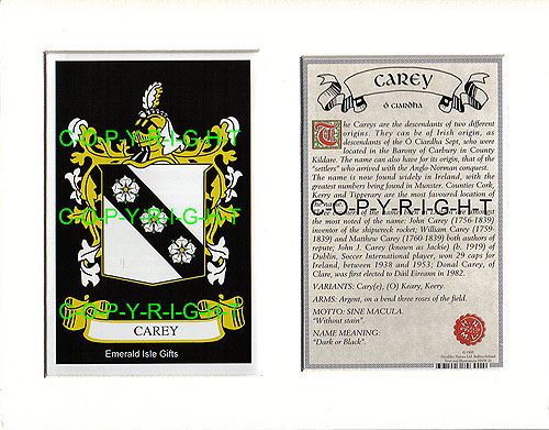 Carey Family Crest and Name History