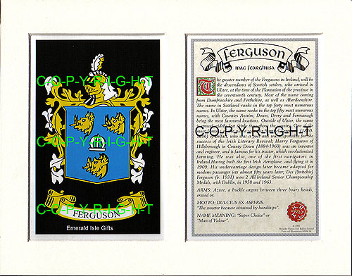 Ferguson Family Crest and Name History