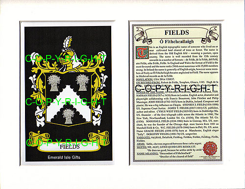 Fields Family Crest and Name History