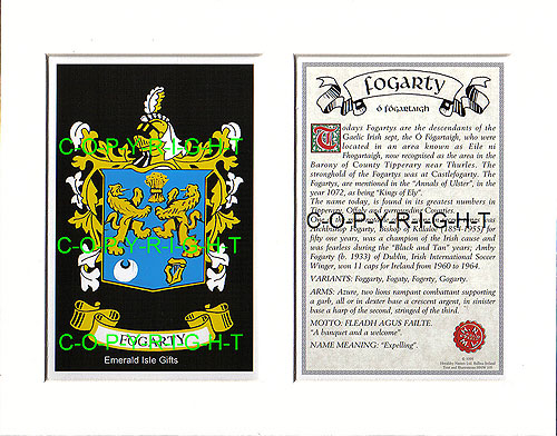 Fogarty Family Crest and Name History
