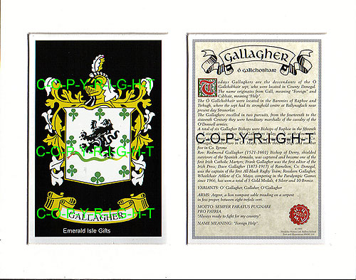 Gallagher Family Crest and Name History