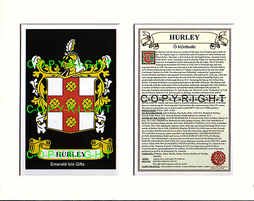 Hurley Family Crest and Name History