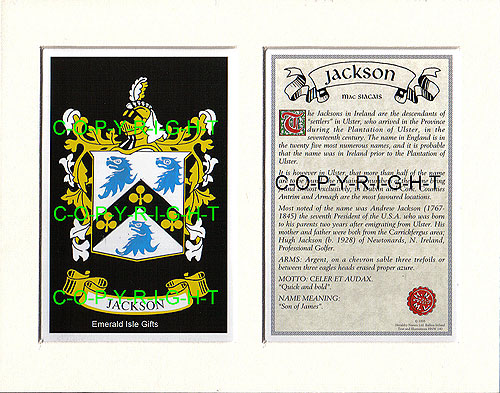 Jackson Family Crest and Name History