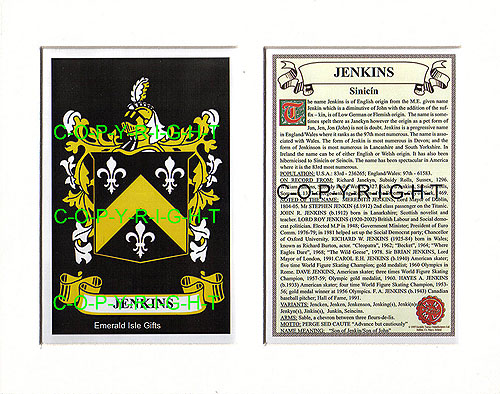 Jenkins Family Crest and Name History