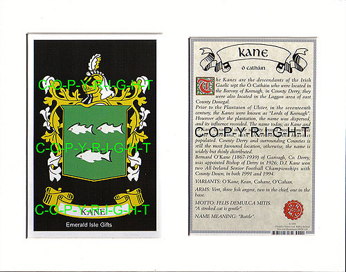 Kane Family Crest and Name History