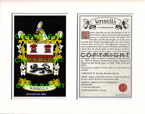 Kinsella Family Crest and Name History