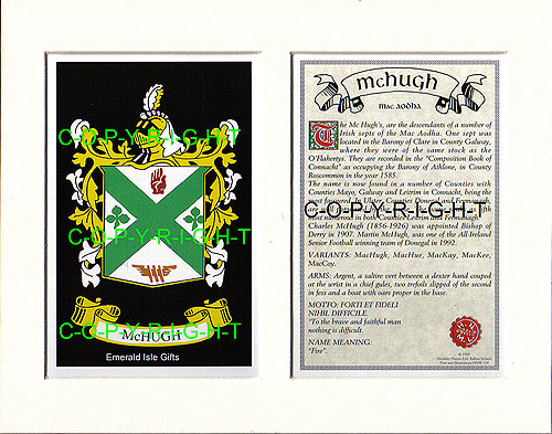 McHugh Family Crest and Name History