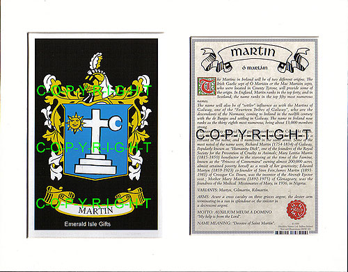 Martin Family Crest and Name History