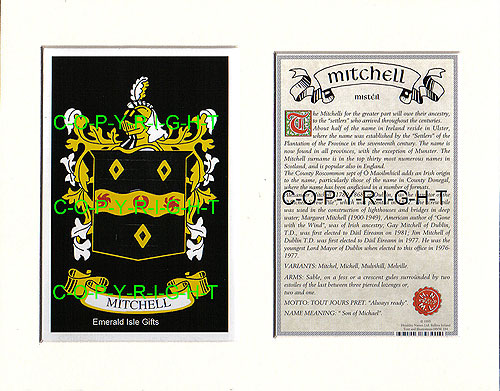 Mitchell Family Crest and Name History