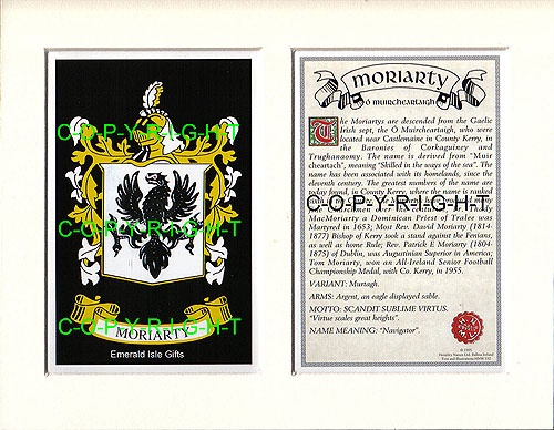 Moriarty Family Crest and Name History