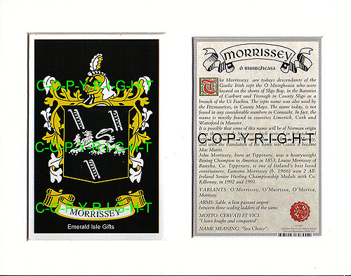 Morrissey Family Crest and Name History