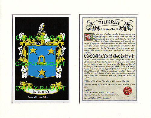Murray Family Crest and Name History