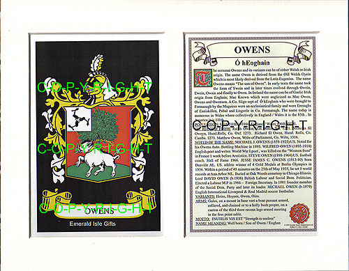 Owens Family Crest and Name History