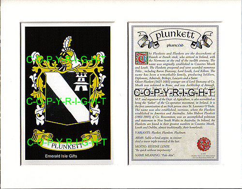 Plunkett Family Crest and Name History