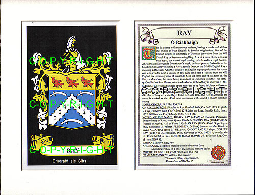 Ray Family Crest and Name History
