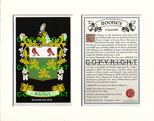 Rooney Family Crest and Name History