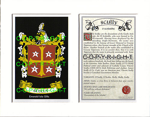 Scully Family Crest and Name History