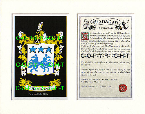 Shanahan Family Crest and Name History