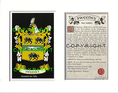Sweeney Family Crest and Name History