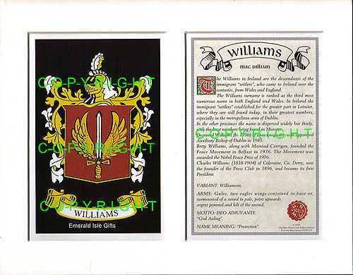 Williams Family Crest and Name History