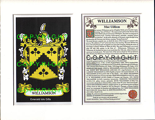 Williamson Family Crest and Name History