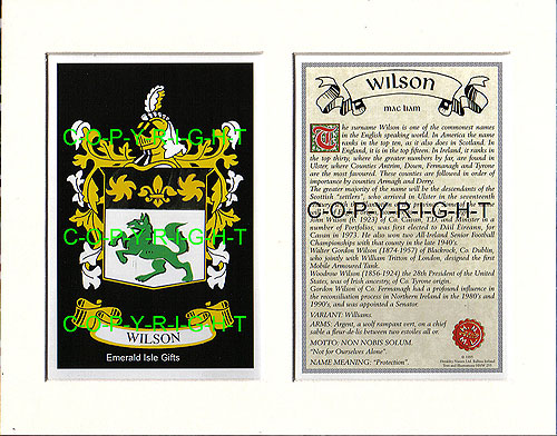 Wilson Family Crest and Name History