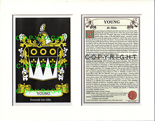 Young Family Crest and Name History