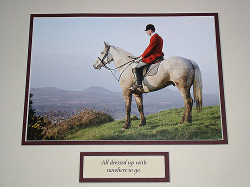 All Dressed Up & Nowhere to Go All Dressed Up & Nowhere to Go
(A lonely looking horseman !)