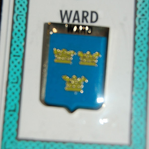 Ward Pin Lapel Clip Badge - Coat of Arms