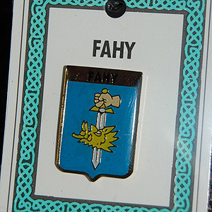 Fahy Pin Lapel Clip Badge - Coat of Arms