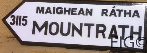 County LAOIS Full Size Town ROAD SIGN