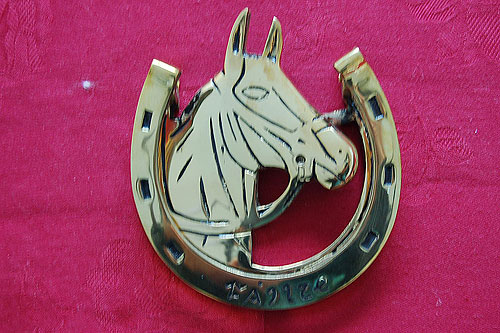 Horse Head & Horse Shoe Door Knocker Horse Head & Horse Shoe Door Knocker
(Brass)